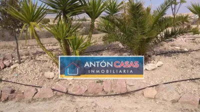 Rustic Finca in Horna Alta photo 16