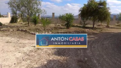Rustic Finca in Horna Alta photo 20
