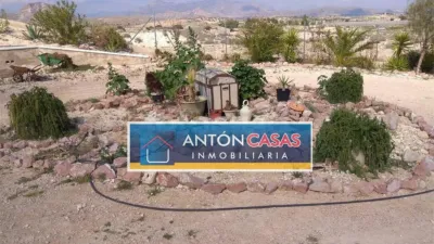Rustic Finca in Horna Alta photo 21