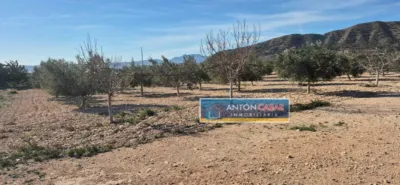 Terreno en venta en Serreta - Vista 2