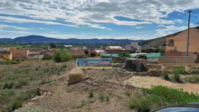 Rustic Finca in Raiguero de Bonanza photo 12