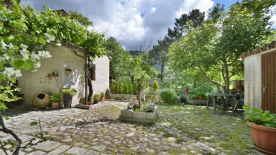 Chalet en venta en Calle Dr Vasallo - More