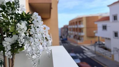 Apartment in Los Abrigos photo 2