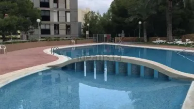Pis – Benidorm, Racó de l'Oix, la Marina Baixa - Vista 5