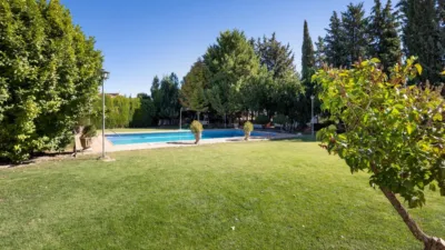 Chalet on Ctra de Caniles photo 44