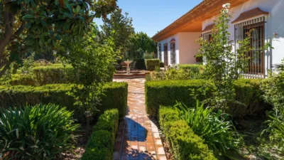 Chalet on Ctra de Caniles photo 79