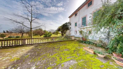 Rustic Finca in Son Sardina photo 13