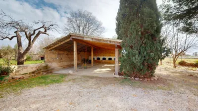 Rustic Finca in Son Sardina photo 16