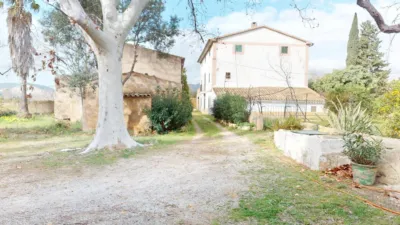 Rustic Finca in Son Sardina photo 17