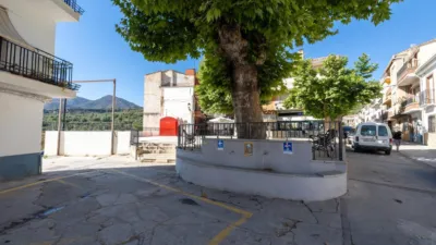 House in Albuñuelas photo 19