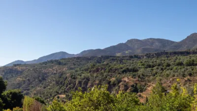 House in Albuñuelas photo 21