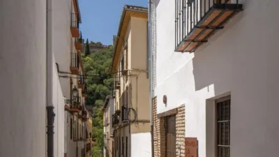 Duplex on Calle Horno del Vidrio photo 38