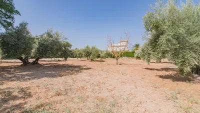 Chalet en venta en Caparacena, Caparacena (Atarfe) de 395.000 €
