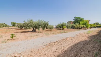 Chalet en venta en Caparacena, Caparacena (Atarfe) de 395.000 €