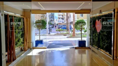 Studio in Calle de Lamo de Espinosa photo 27