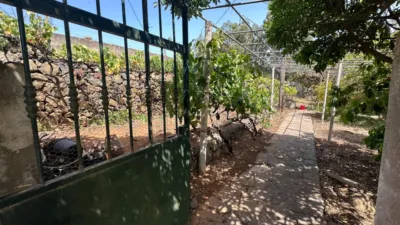 House on Salto del Pino Street photo 55