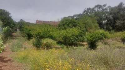 House on Salto del Pino Street photo 56