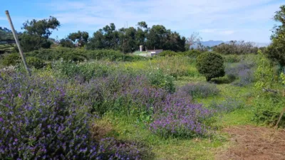 House on Salto del Pino Street photo 60