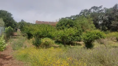 House on Salto del Pino Street photo 62