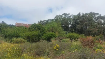 House on Salto del Pino Street photo 64