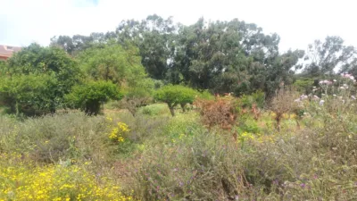 House on Salto del Pino Street photo 69