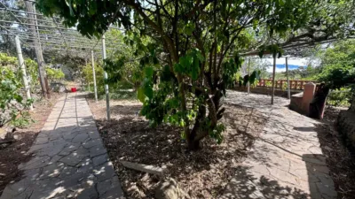 House on Salto del Pino Street photo 74