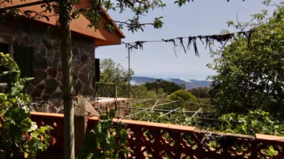 House on Salto del Pino Street photo 99