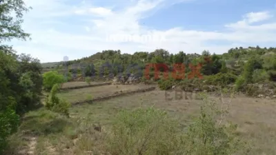 Rustic farm in Batea photo 11