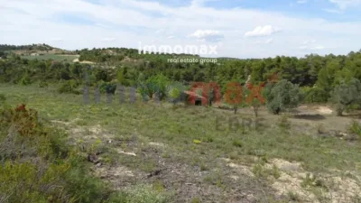 Rustic farm in Batea photo 16