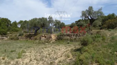 Rustic farm in Batea photo 3