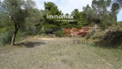 Rustic farm in Batea photo 5