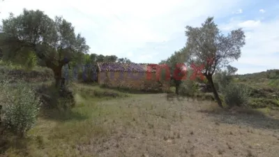 Rustic farm in Batea photo 8