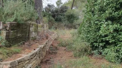 House in Corbera de Baix photo 5