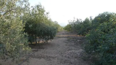 Rustic finca in Tortosa photo 12