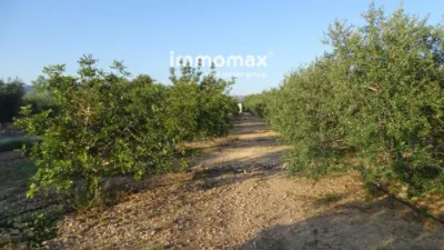 Rustic finca in Tortosa photo 13