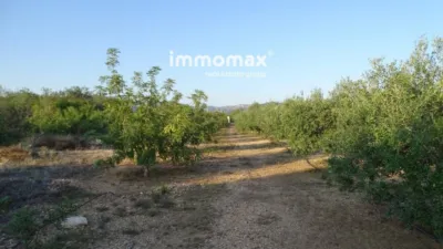 Rustic finca in Tortosa photo 3