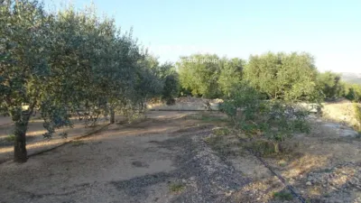 Rustic finca in Tortosa photo 7