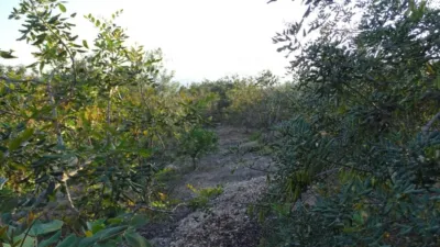 Rustic finca in Tortosa photo 2