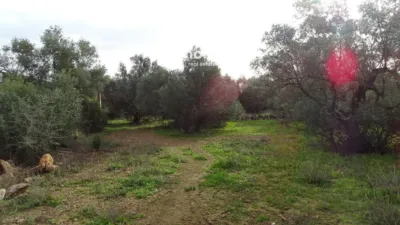 Rustic farm in Xerta photo 10