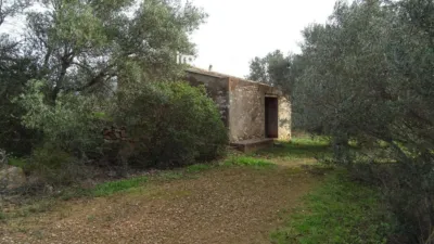 Rustic farm in Xerta photo 11