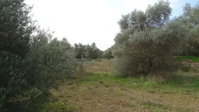 Rustic farm in Xerta photo 15
