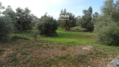 Rustic farm in Xerta photo 16