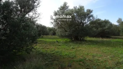 Rustic farm in Xerta photo 17