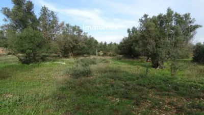 Rustic farm in Xerta photo 18