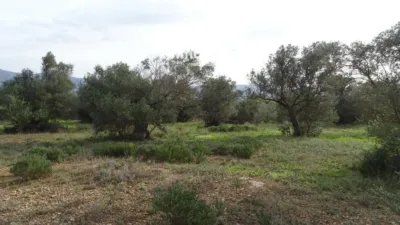 Rustic farm in Xerta photo 20