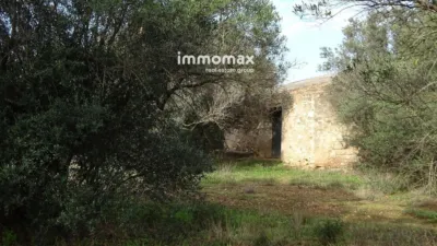 Rustic farm in Xerta photo 21