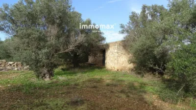 Rustic farm in Xerta photo 22