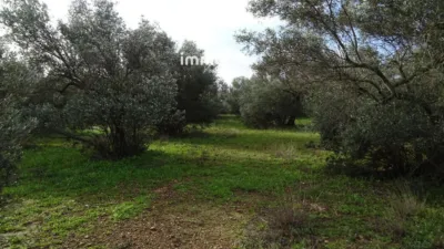 Rustic farm in Xerta photo 24