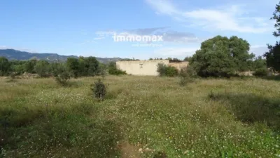 Rustic farm in Xerta photo 26