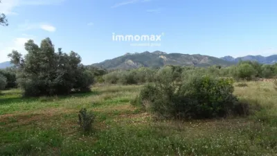 Rustic farm in Xerta photo 27